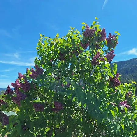 Marchenthorn * Leogang